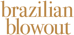 Brazilian Blowout